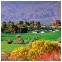 Desert Willow Golf Resort - Mountain View & Firecliff Courses